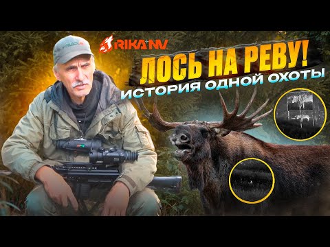 Видео: Охота на лося на реву! История одной охоты от Игоря Кроля!