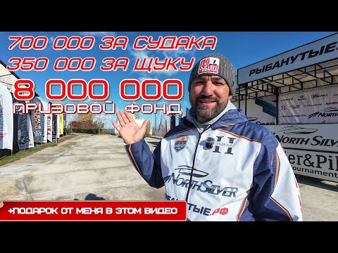 Видео: Уехал на Волгу на рыболовный турнир по ловле спиннингом с лодок NorthSilver Zander&Pike