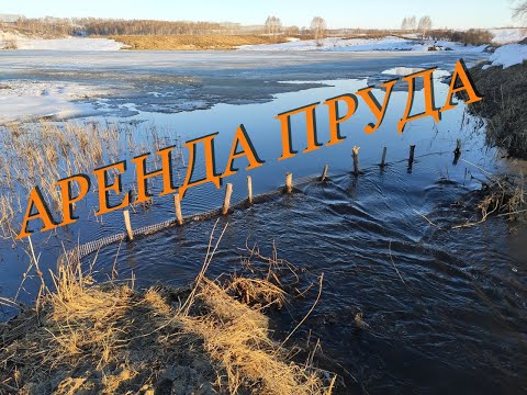Видео: 10 | Проект Аренда пруда | Сетка для спасения рыбы | Попытка отремонтировать дамбу