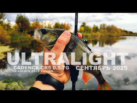 Видео: ОТВОДНОЙ ПОВОДОК на УЛЬТРАЛАЙТЕ. Есть ли смысл в такой рыбалке? Cadence CR5 UL, Cadence CS10 1000MG.