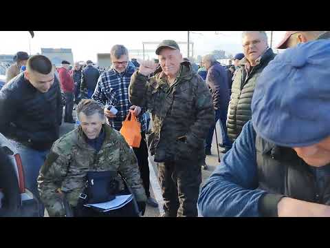 Видео: Ярмарка голубей г. Минск  30 марта 2025 г.Pigeon Fair Minsk March 30, 2025