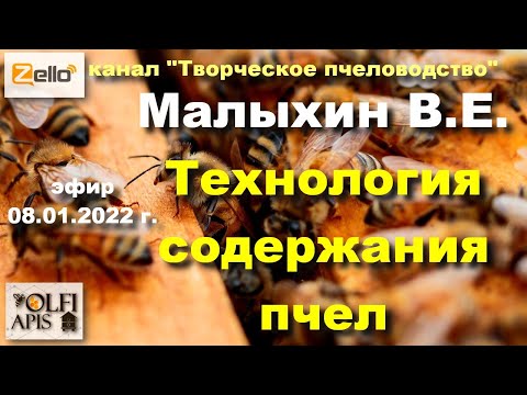 Видео: 08.01.22 г. Z-рация, канал "#Творческое_пчеловодство" #Малыхин В.Е. #Технология_содержания_пчел