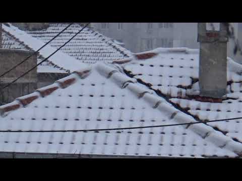 Видео: Снежна буря в Бургас #1