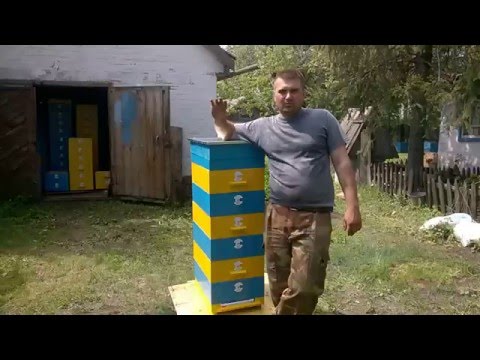 Видео: Вулик на 145 рамку. Фарбування і підготовка до заселення.