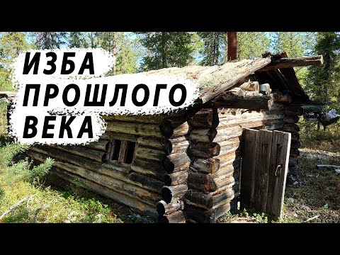 Видео: Заброшенная Избушка в Тайге / Вот Как Раньше Строили Избушки