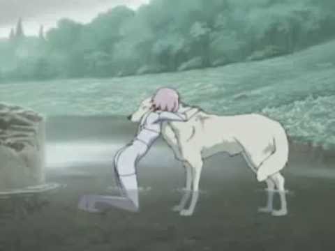Видео: AMV Wolf Rain - Я Хочу Быть С Тобой