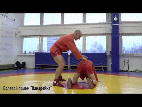 Видео: Самбо: болевой приём "Канарейка"