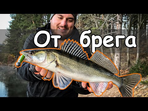 Видео: За бели риби от брега. Сутрешен риболов