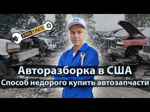 Видео: Авторазборка в США