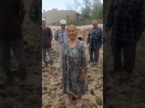 Видео: АМУДАРЁ ТУМАНИ ХОКИМИ ПРОКРОРИ  ХАЛКНИ КАЧОН ЭШИТАСИЗЛАР