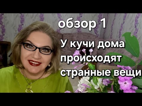 Видео: У кучи дома происходят странные вещи 🤔
