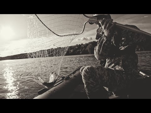 Видео: Рыбалка на кольцо, река Кама, сентябрь.