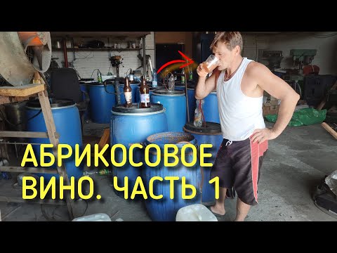 Видео: Абрикосовое вино.  Часть 1 "Южный поток"