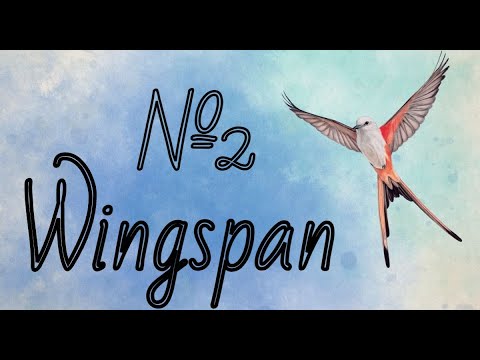 Видео: Wingspan (Крылья) №2