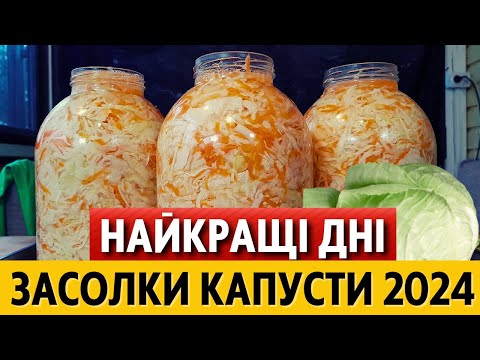 Видео: ВОСЕНИ 2024 - коли солити капусту, щоб була дуже смачною. Найкращі дати за місячним календарем