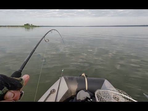 Видео: Ловля СУДАКА на ДЖИГ! Рыбалка на Яузском вдхр летом! Судак на ПОРОЛОН!