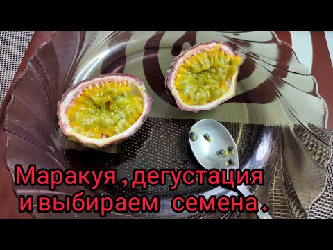 Видео: Маракуя , дегустация и извлечение семян для посадки .