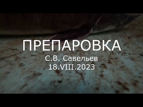 Видео: С.В. Савельев - Препаровка