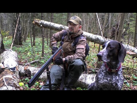 Видео: ХОДОВАЯ ОХОТА С КУРЦХААРОМ