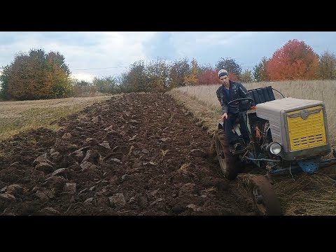 Видео: Поломав трактор. Оранка цілини однокорпусним плугом.
