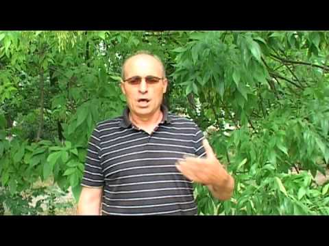 Видео: Смели граничари