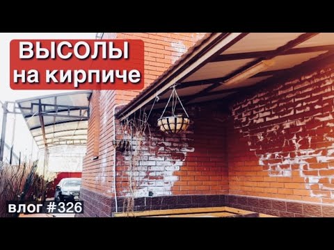 Видео: РАЗРУШЕНИЕ КИРПИЧА | ВЫСОЛЫ НА ФАСАДЕ ДОМА | ДО И ПОСЛЕ | ПЕРЕЕЗД | VLOG