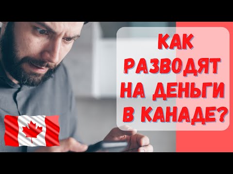 Видео: Как разводят на деньги в Канаде? Остерегайтесь мошенников! #мошенники#Канада#минусыканады