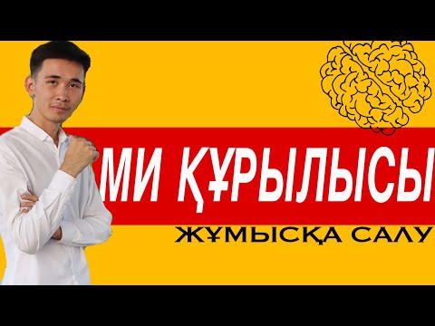 Видео: Біз білмейтін МИдың мүмкіншіліктері / сабақ оқуға пайдалану