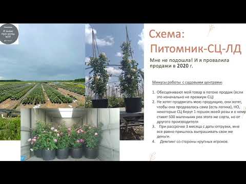 Видео: 1ч. "Производство роз",  Людмила Ижукова