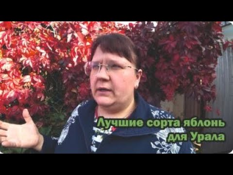 Видео: Лучшие сорта яблонь для Урала