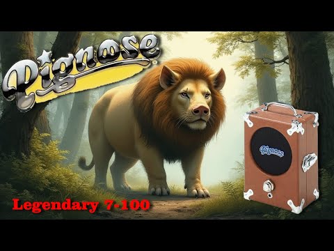 Видео: Обзор Pignose Legendary 7-100