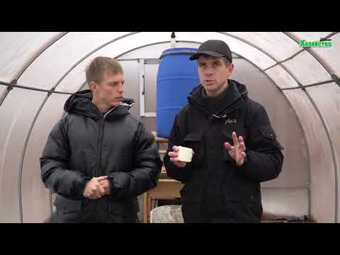 Видео: Дезинфекция теплицы или погреба с помощью серной шашки