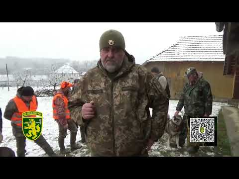 Видео: Регулювання чисельності