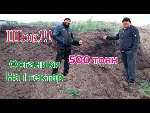 Видео: Шок !!! 500 тонн органики на 1 гектар