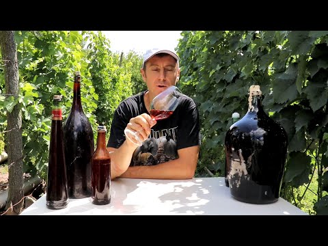 Видео: ИЗАБЕЛЛА 20 ЛЕТ ВЫДЕРЖКИ!!!