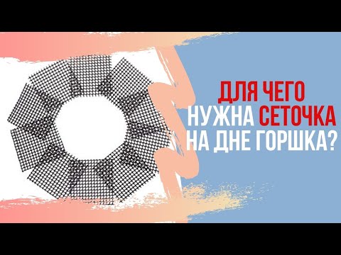 Видео: Для чего нужна пластмассовая сеточка на дне горшка у бонсай?