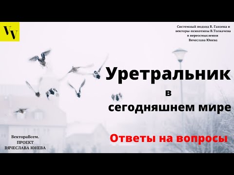 Видео: Уретральный вектор - как реализуется сегодня. ВектораВсем. Проект Вячеслава Юнева
