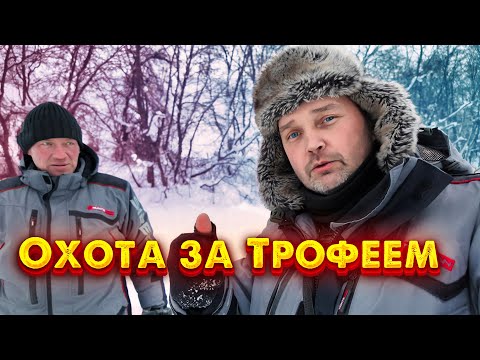 Видео: ПОЙМАЛ ЭТОГО ХИЩНИКА! 🦈 КАК МЫ ВЫТАСКИВАЛИ ЩУКУ ВМЕСТЕ С сЕРЁЖЕЙ.