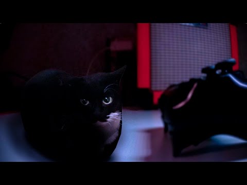 Видео: Я люблю видеоигры