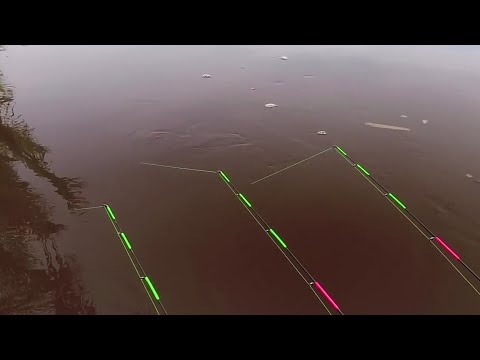 Видео: Гигант в глубокой реке. Ловля креветок