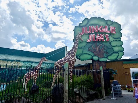 Видео: 🔴Jungle Jim’s🔴 Огромный магазин, где есть ВСЁ! Цинцинатти, июль 2025.