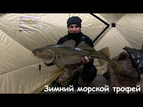 Видео: ЗИМНЯЯ МОРСКАЯ РЫБАЛКА НА БАРЕНЦЕВОМ МОРЕ / WINTER SEA FISHING IN THE BARENTS SEA
