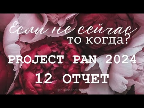 Видео: Бесконечный PROJECT PAN 2024 Отчет 12