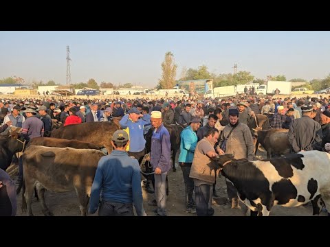 Видео: Панчшанбе бозори н.Ёвон  16.10.2025.г