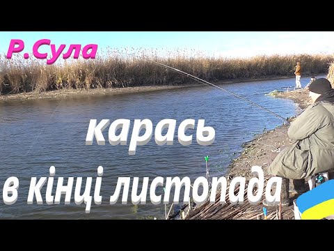 Видео: #Сула # Карась в кінці листопада #РибачуЯкУмію  : Частина №1.