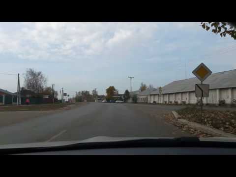 Видео: Тамбовская обл.  Сосновка из окна авто.