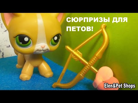 Видео: LPS ПОСЫЛКА от САМИРЫ ИЗ ЯКУТИИ