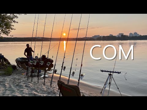 Видео: ТРОФЕЙНЫЙ СОМ и ЕГО ЛОВЛЯ на ДОНКУ. Делюсь секретами.