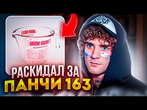 Видео: Пояснил за панчи 163ONMYNECK на Grow Guide 3