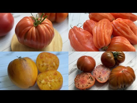 Видео: БОЛЬШЕ НЕ ПОСАЖУ ЭТИ ТОМАТЫ, не понравились совсем